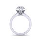 Petite Halo micro pavé diamond engagement Ring WIST-1538-A 